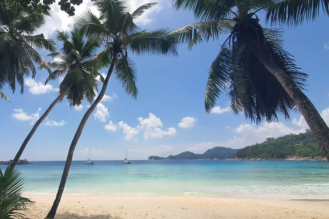 5 Hour Private Customize Tour of Mahe, Seychelles - Anse Royale Beach: finish with sand, not another checklist
