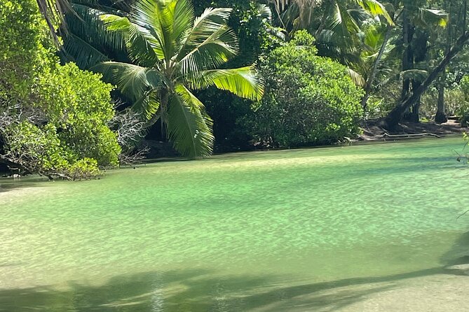 5 Hour Private Customize Tour of Mahe, Seychelles - Victoria Market: where you see Seychelles shopping culture up close