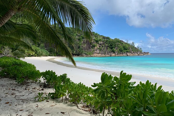 Beaches, swimming & snorkeling | Mahe, Seychelles | Private Tour - Key highlights you will actually care about