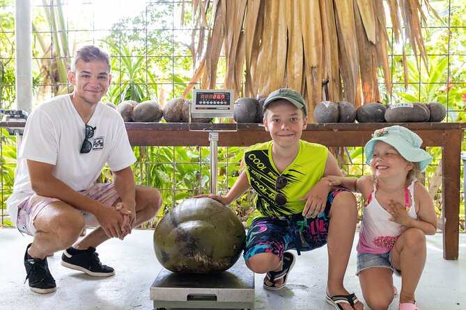 Coco de Mer Collection FREE Factory Tour & Shop - Coco de mer up close: the fruit behind Seychelles perfume