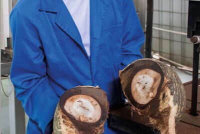 Coco de Mer Collection FREE Factory Tour & Shop