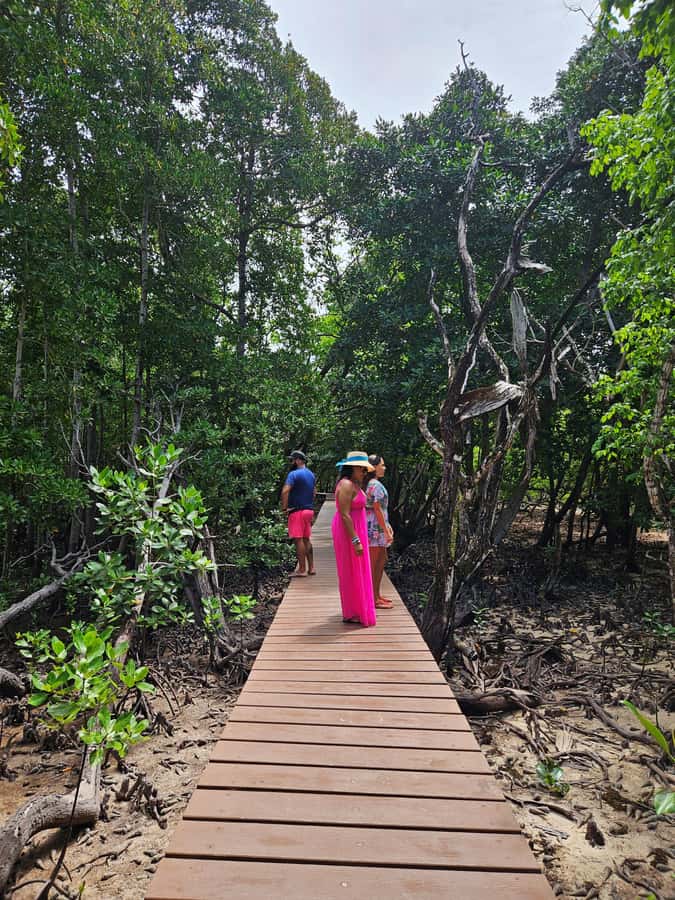 "Curieuse and St-Pierre Island Adventure: with Creole, BBQ - How the day flows from Praslin (and why timing matters)