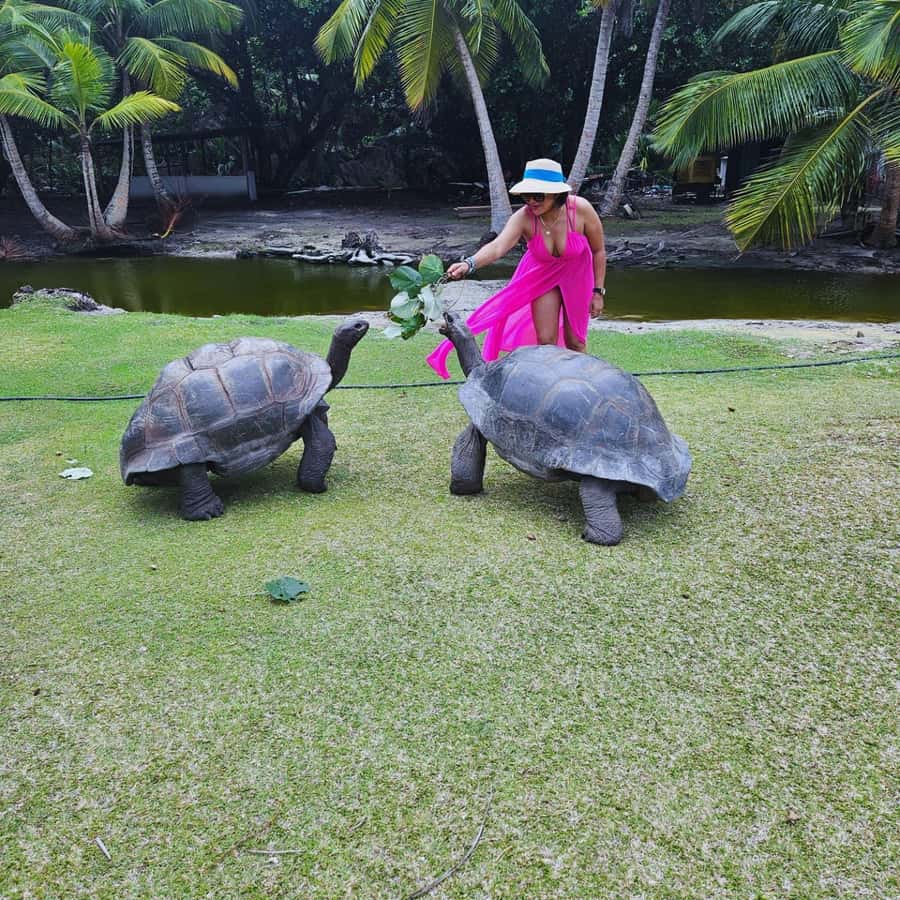 "Curieuse and St-Pierre Island Adventure: with Creole, BBQ - The mangrove nature trail and the Anse José swim break