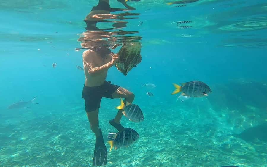 "Curieuse and St-Pierre Island Adventure: with Creole, BBQ - Price and value: the $89 ticket plus the Curieuse fee