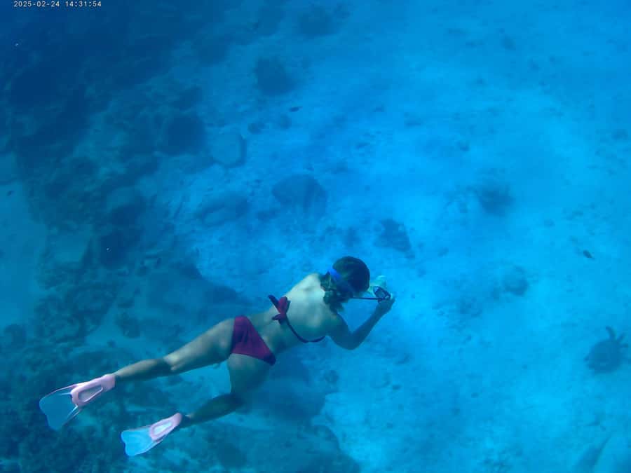 Curieuse and St Pierre Snorkeling Half-Day Trip No BBQ Lunch - Curieuse Island by 09:30, tortoise sanctuary time you can actually enjoy