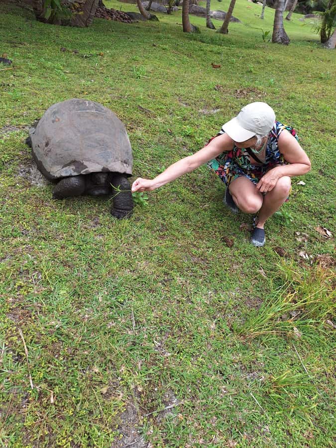Curieuse and St Pierre Snorkeling Half-Day Trip No BBQ Lunch - Price value at about $53, plus the landing fee that matters