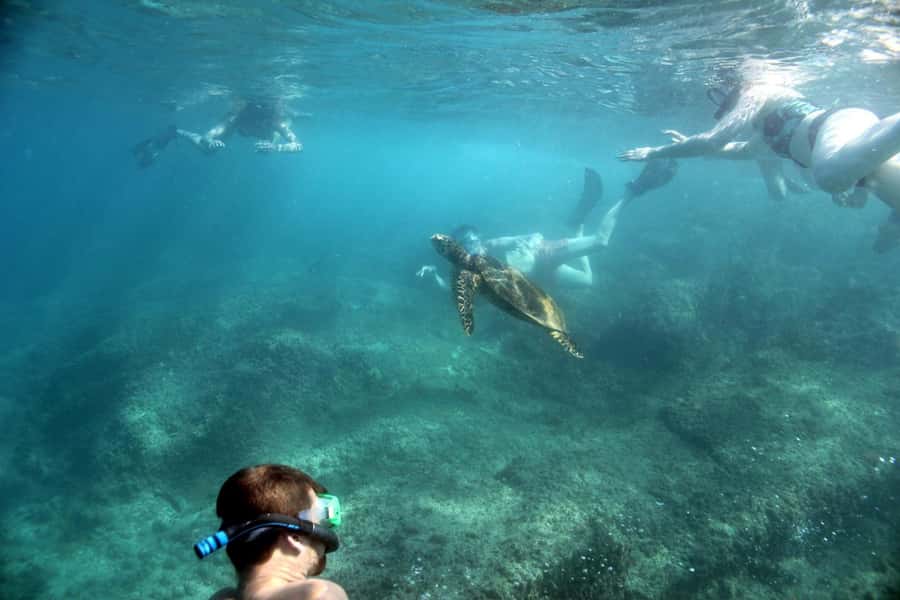 Curieuse Guided Tour, St Pierre, BBQ & 2 Snorkel Stops - Why this Curieuse day trip works so well from Praslin