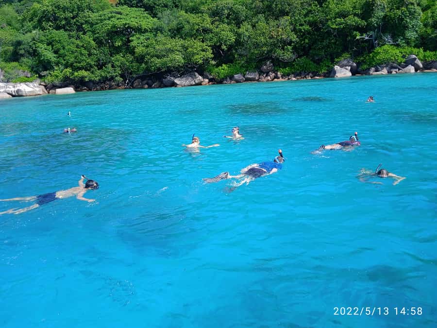 Curieuse Guided Tour, St Pierre, BBQ & 2 Snorkel Stops - BBQ lunch on Curieuse: Creole plates, beer, and good timing