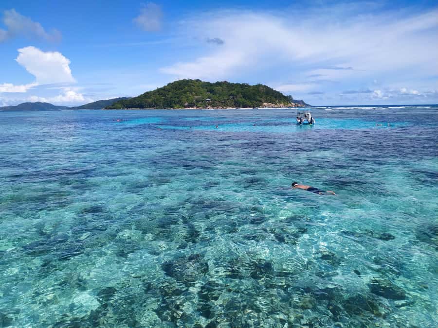 Curieuse Guided Tour, St Pierre, BBQ & 2 Snorkel Stops - Price and value: $112 plus the Curieuse entry fee