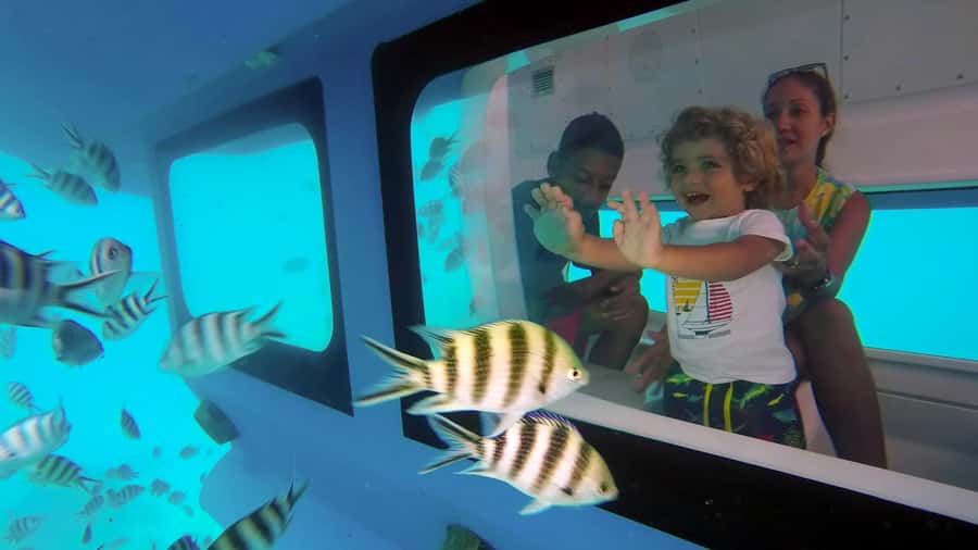 Eden Island: Semi-Submarine Tour in St. Anne Marine Park - Wildlife spotting: corals, turtles, dolphins, and fish schools