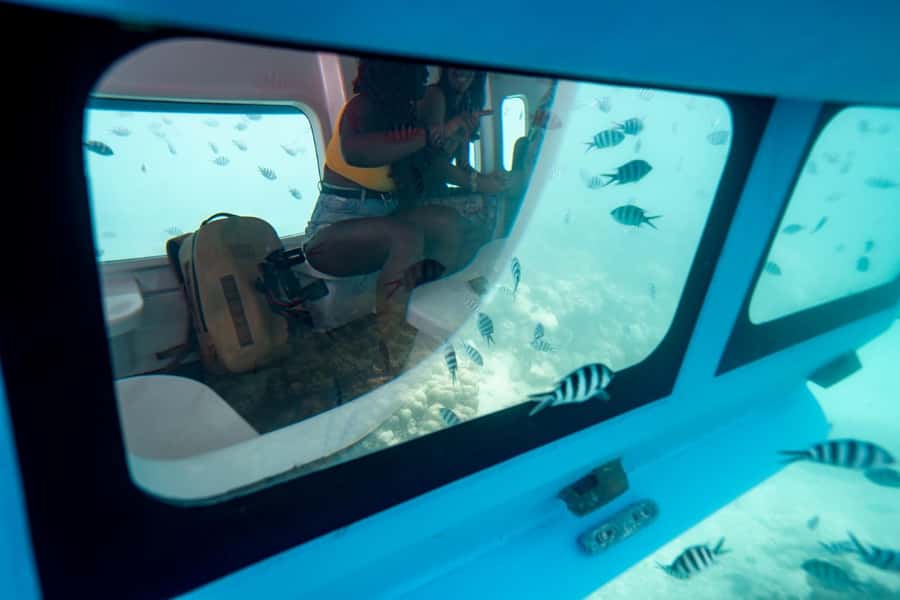 Eden Island: Semi-Submarine Tour in St. Anne Marine Park - What you actually see inside the air-conditioned observatory