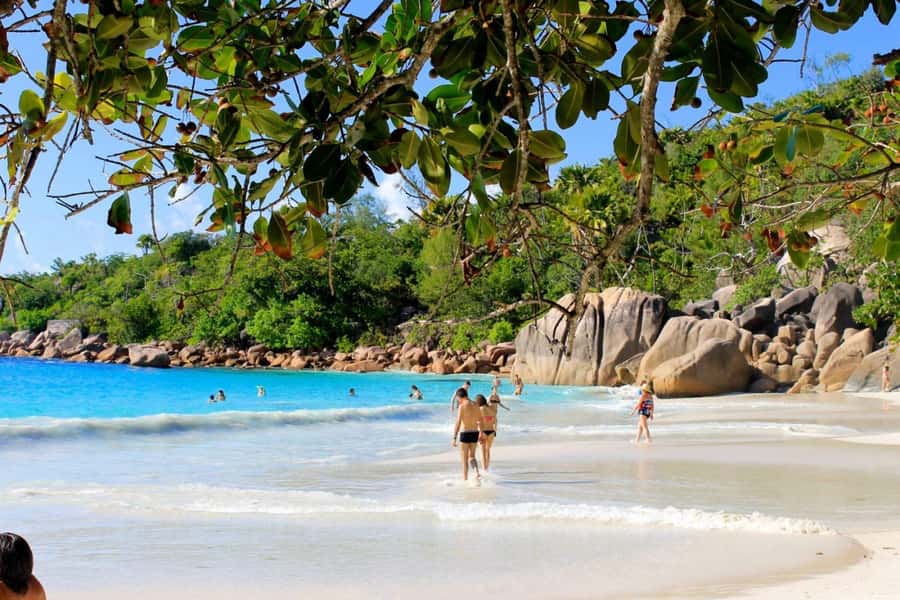 From Mahe eden island to Praslin & Ladigue Daytrip - The jump to La Digue: lunch at Fish Trap, then bicycle time starts