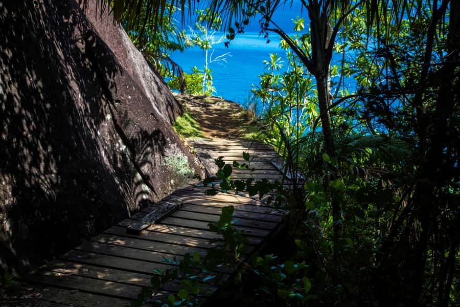 From Mahe: Guided Nature Trail Walk to Anse Major Beach - What’s Included, What Isn’t, and How to Think About Price