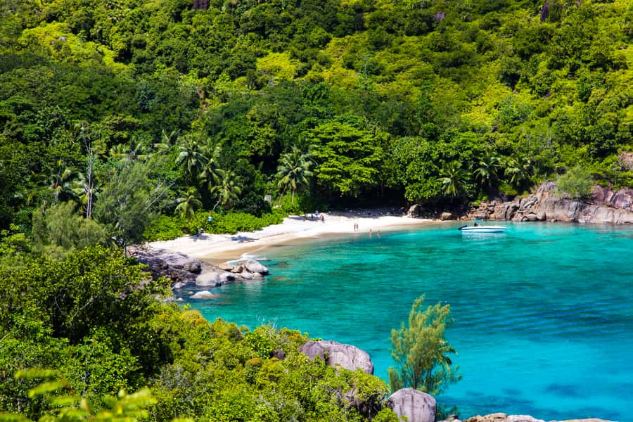 From Mahe: Guided Nature Trail Walk to Anse Major Beach - Who This Walk Suits Best (And Who Should Skip It)
