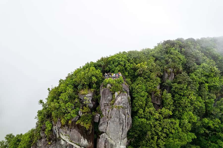 From Mahe: Guided Nature Trail Walk to Morne Blanc - Mossy Rocks, Fern Floors, and Endemic Birds Where You Can Actually Spot Them