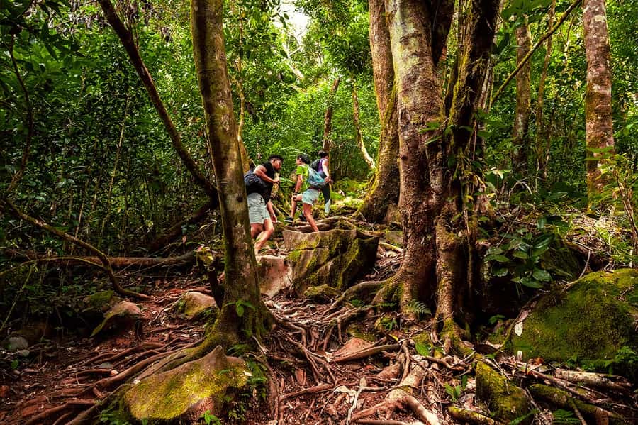 From Mahe: Guided Nature Trail Walk to Morne Blanc - Hotel Pickup Meets a Tea Plantation Starting Point