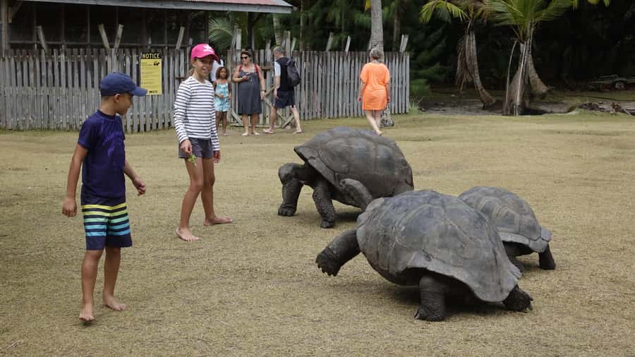 From Praslin: Cousin, Curieuse & St Pierre Islands Day Tour - Key highlights worth your attention