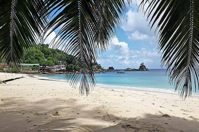 Full day (5-6 hours) island tour on Mahé with pick-up - Victoria highlights: the quick orientation stop that helps the whole day click