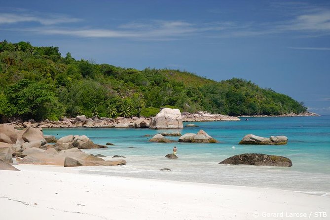 Full Day Discovery Tour of Vallee de Mai and Anse Lazio on Praslin Island - Vallee de Mai: why the coco de mer forest is the real draw