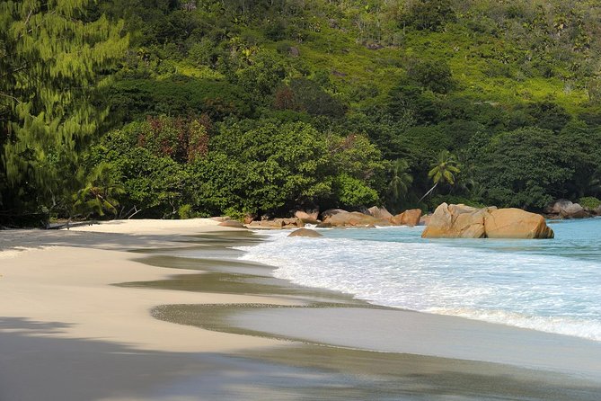 Full Day Discovery Tour of Vallee de Mai and Anse Lazio on Praslin Island - Timing and logistics that actually affect your day