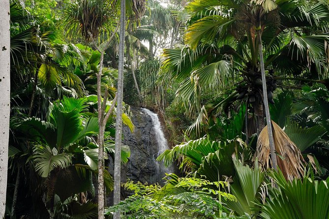 Full Day Discovery Tour of Vallee de Mai and Anse Lazio on Praslin Island - Who should book this tour on Praslin