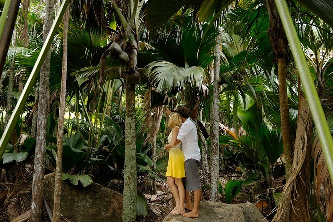 Full Day Discovery Tour of Vallee de Mai and Anse Lazio on Praslin Island - What a small group (15 max) changes on Praslin