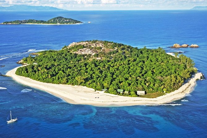 Full Day Excursion of Cousin, Curieuse and St Pierre Islands from Praslin Island - Stop 1 at Cousin Island Reserve: birds, close viewing, and mosquito reality