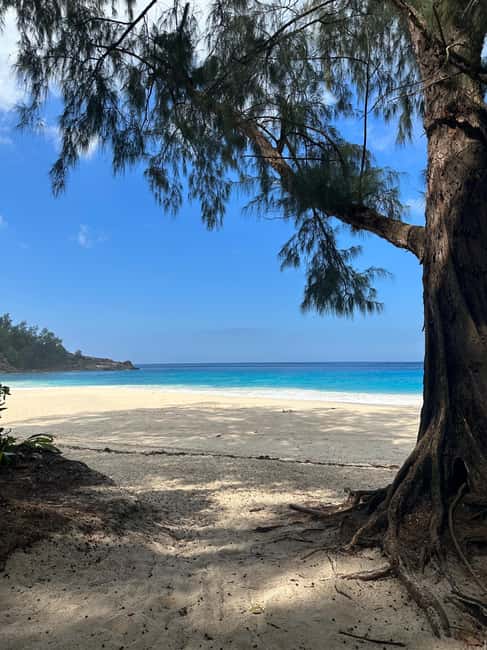 Full day Mahe Tour - Distillery Visits That Feel Local, Not Just Tourist Stops