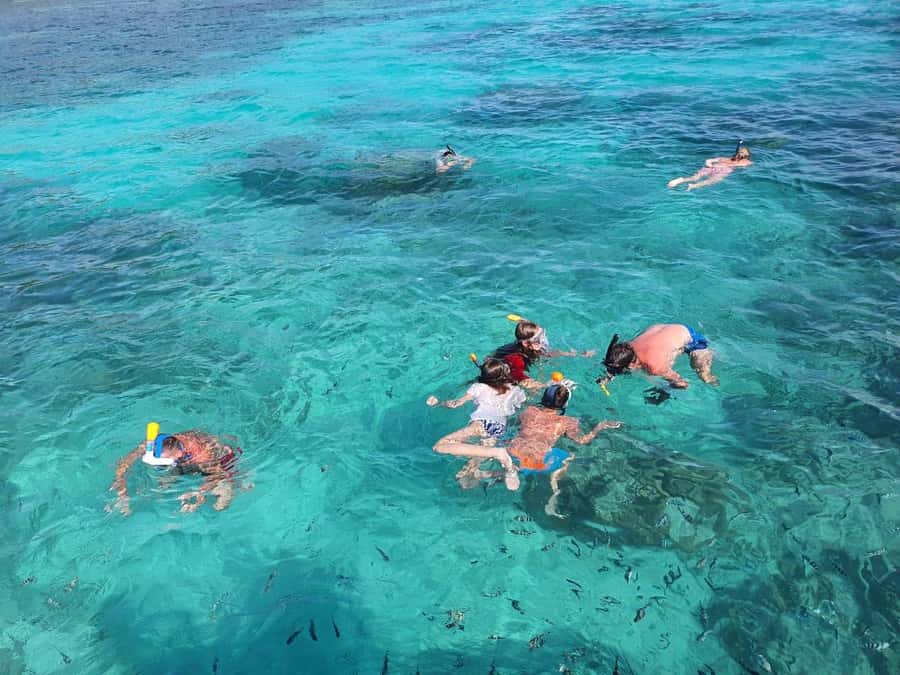 Glassbottom boat & Crystalkayak SteAnneMarinePark Snorkeling - Who should book this tour, and who should skip it