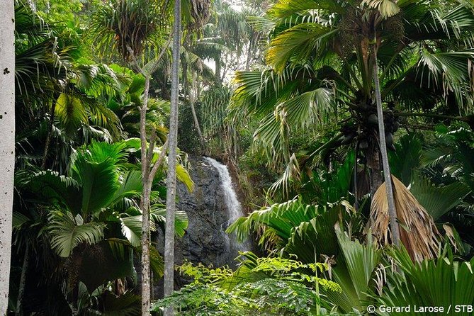 Half Day Discovery Tour of Vallee de Mai on Praslin Island - Key Highlights You’ll Feel Right Away