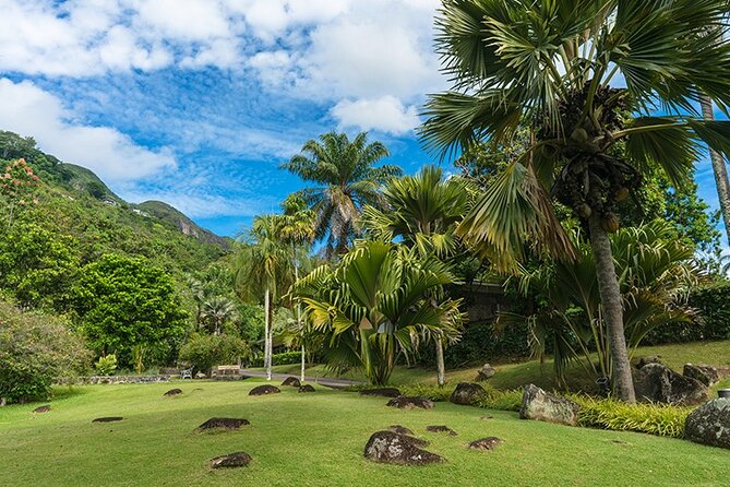 Half Day Discovery Tour of Victoria - Seychelles Capital on Mahe Island - How much time you get for Victoria after the tour