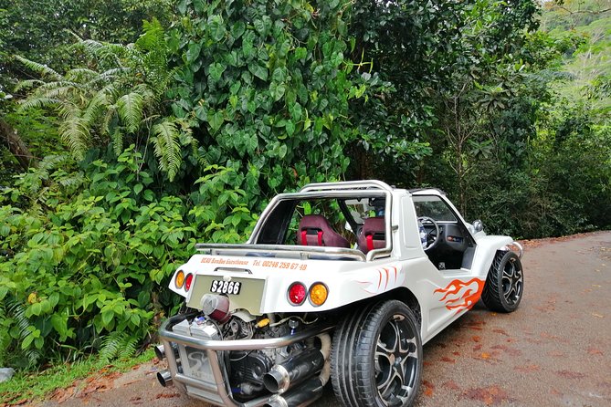 Island tour with the beach buggy - Key takeaways before you book