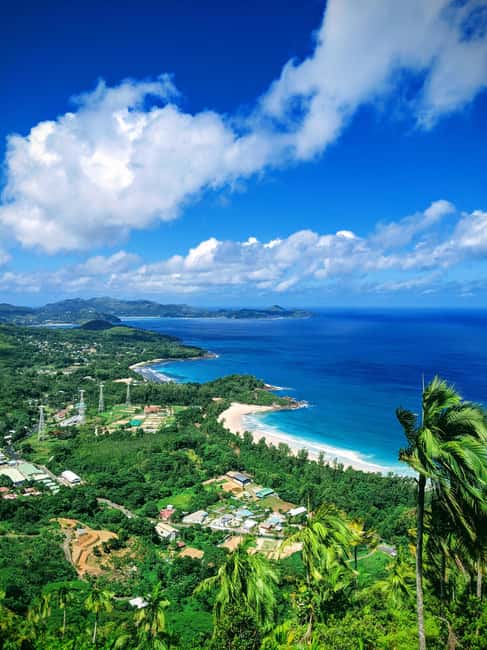 Jungle Adventure Hike:Climb, Waterfall, Discover Seychelles! - Walking the Seychelles jungle: plants, animals, and the rhythm of shade