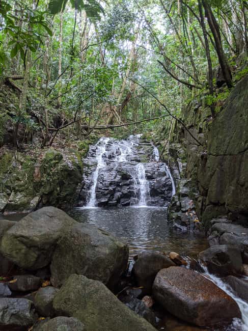 Jungle Adventure Hike:Climb, Waterfall, Discover Seychelles! - The mountain climb: river banks first, then that coast view payoff