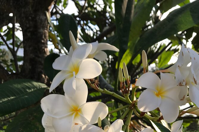 LGBTQIA, we look forward to seeing you | Island tour | Mahé | Seychelles - Takamaka Rum and Le Jardin du Roi Spice Garden: small costs, big payoff
