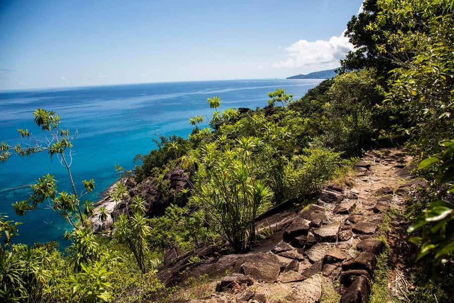 Mahé: Baie Ternay Park Catamaran Cruise with BBQ Lunch - BBQ lunch onboard: what you should expect and how to prepare