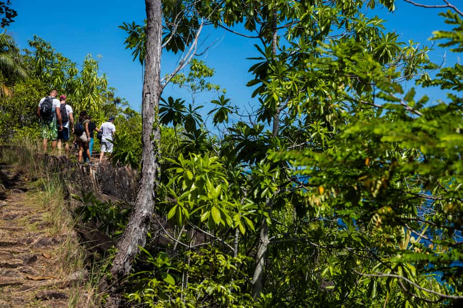 Mahé: Baie Ternay Park Catamaran Cruise with BBQ Lunch - Your 6-hour flow: cruise time, snorkeling time, BBQ time