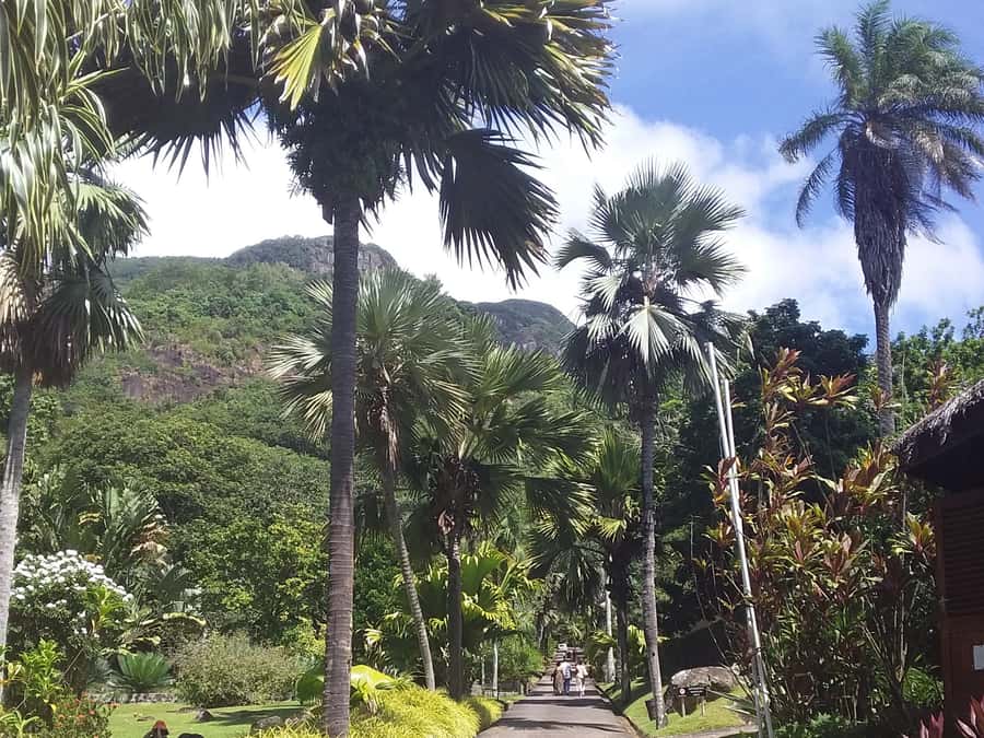 Mahé: Customizable Private Tour of Island with Driver - Temples, churches, and cemetery stops: the respectful side of culture time