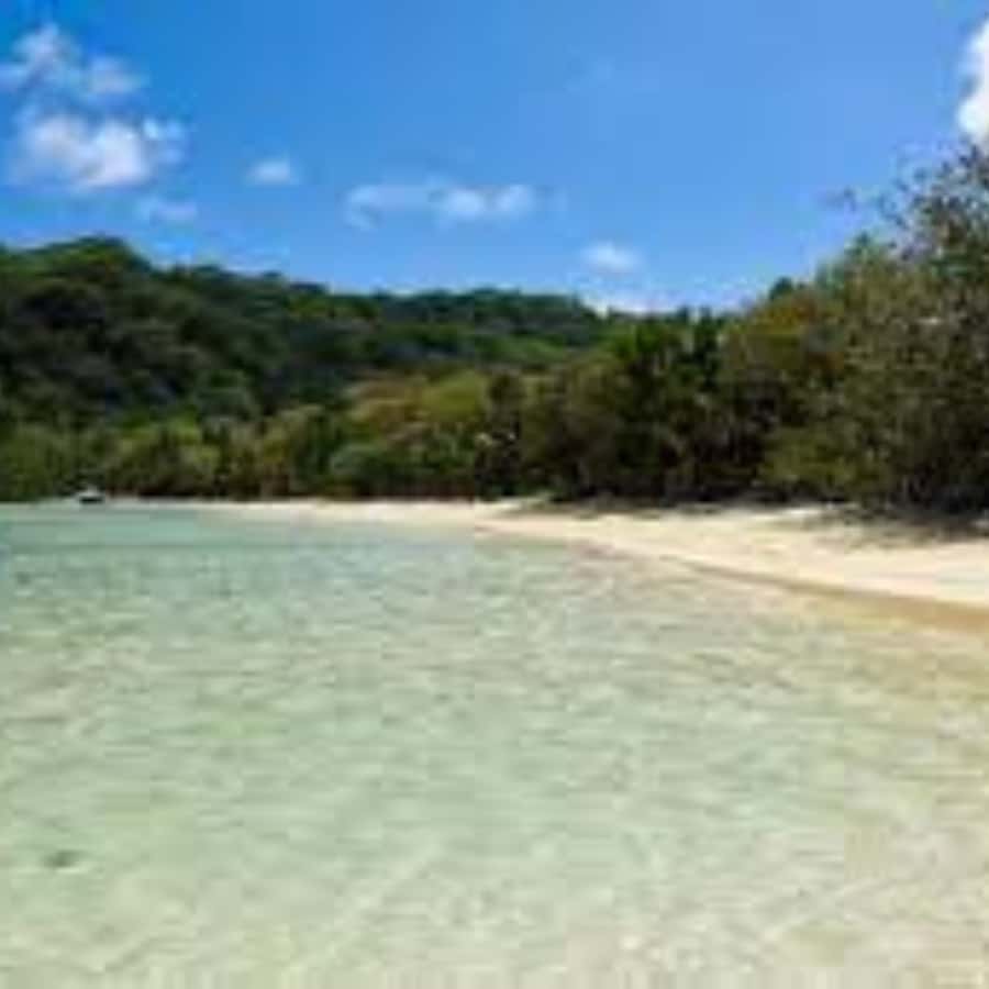 Mahe Discovery Bus Tour - Key highlights worth planning around