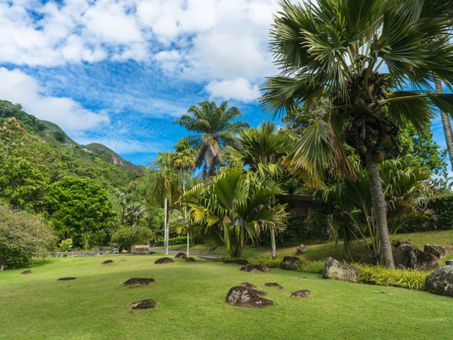 Mahé Island: Island Highlights Guided Day Trip with Lunch - The big idea: an 8-hour Mahé route you can actually use