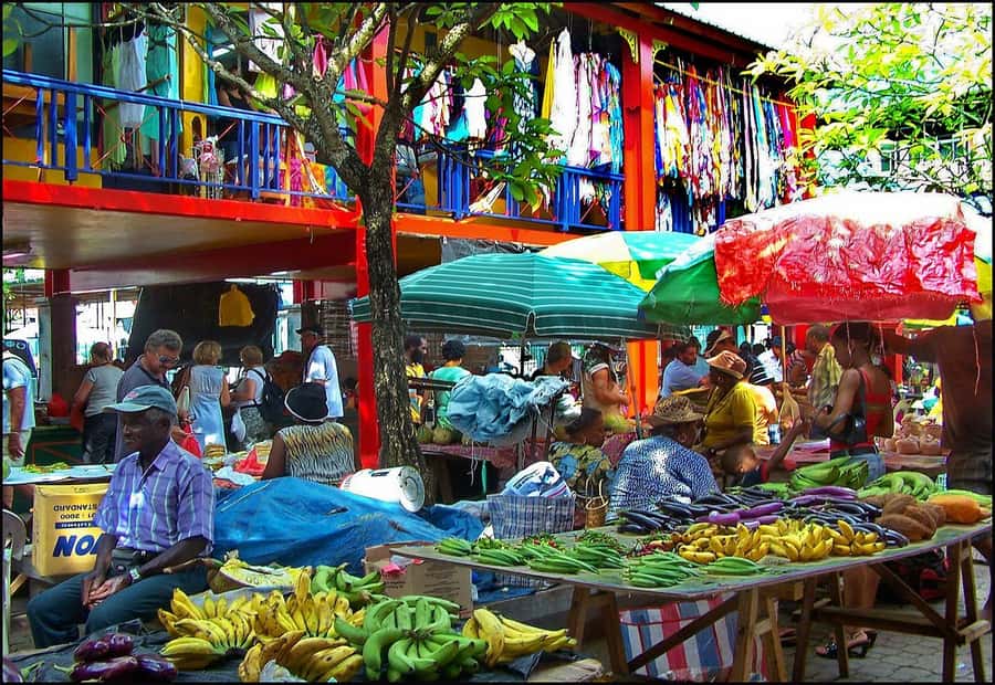 Mahé Island: Island Highlights Guided Day Trip with Lunch - Victoria first: getting oriented in Mahé’s capital