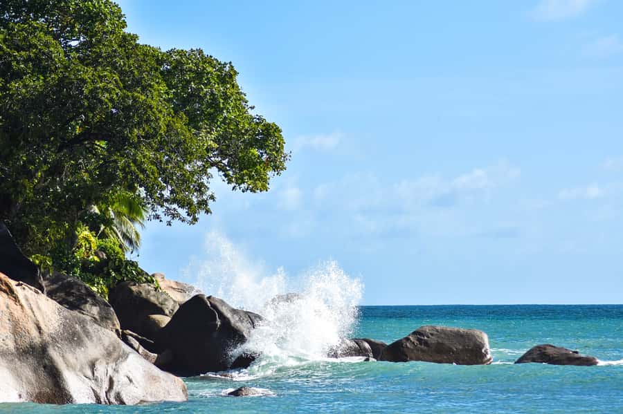 Mahe Island: Private Mahe Island Tour - Key highlights worth planning for