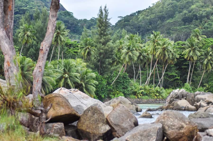 Mahe Island: Private Mahe Island Tour - What to Bring, So You Can Actually Enjoy the Water and Stops