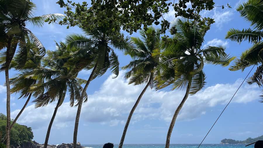 Mahe Island: Private Mahe Island Tour - Private Mahe Island Touring, 4 Hours or a Full Day