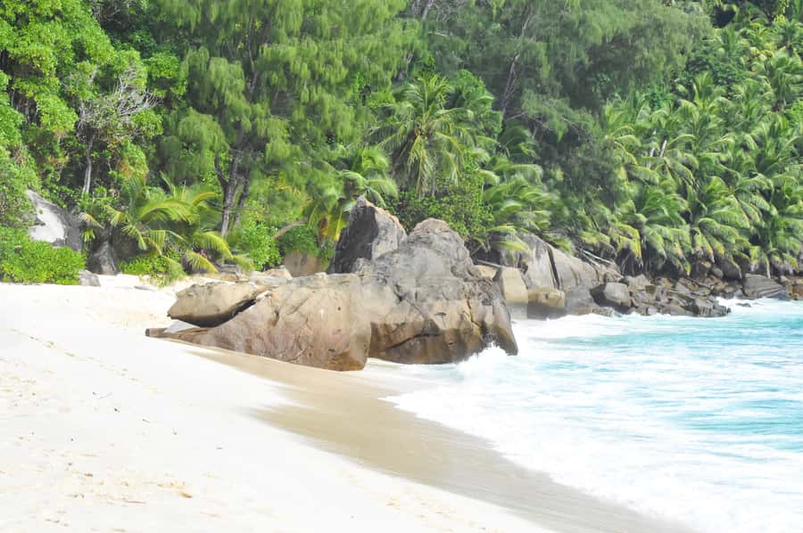 Mahe Island: Private Mahe Island Tour - Rum Distillery and Tea Factory, Two Flavors of Seychelles