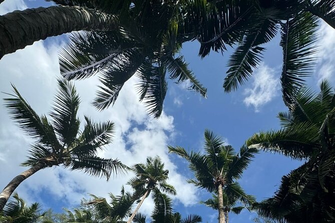 Mahe island Seychelles , unforgettable & adventurous tour - Takamaka Rum Distillery, Garden Time, and Tasting Without Pressure
