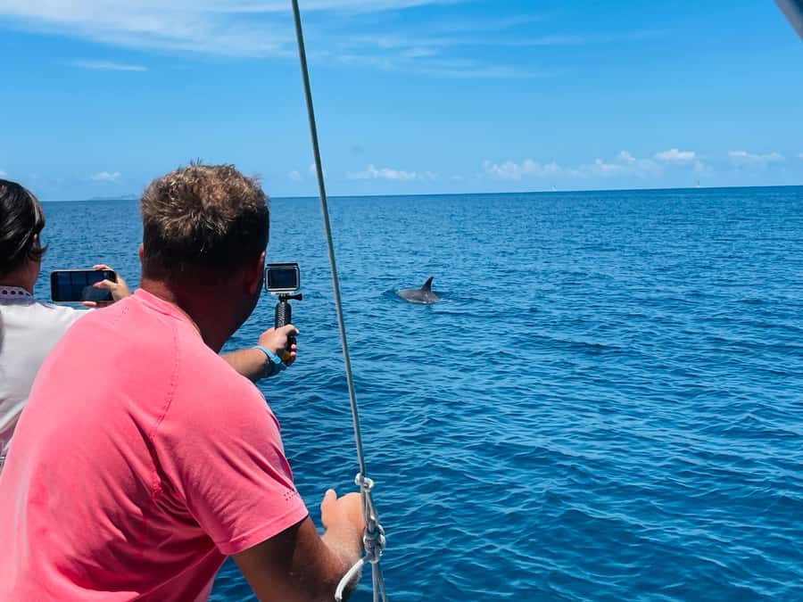 Mahe Island: St. Anne Marine Park Snorkeling Trip - Price and value: is $177 a fair deal?