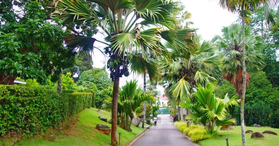Mahé: Private Customizable Full-Day Tour with Hotel Pickup - Quick hits on this Mahé full-day tour