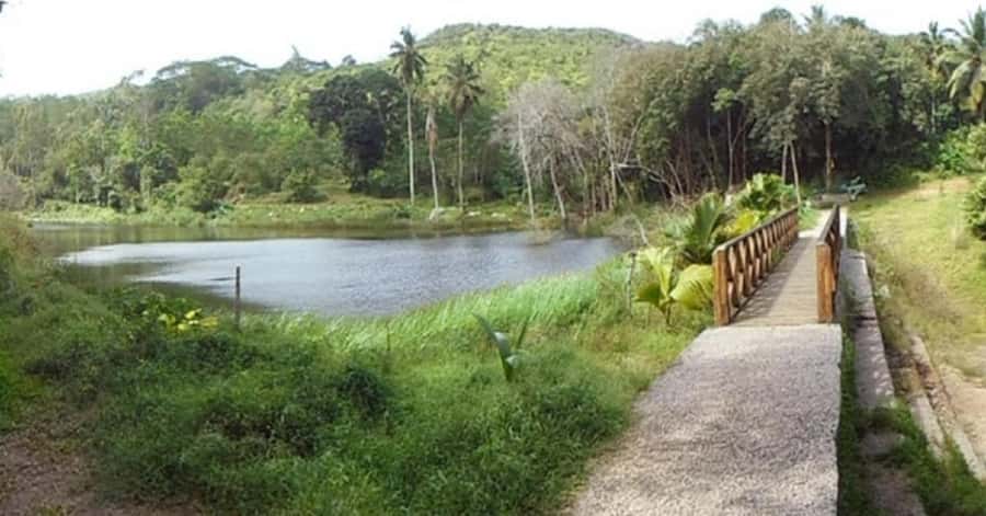 Mahé: Private Customizable Island Tour with Hotel Transfer - Gardens, spices, and tea stops for a slower, more “Mahé” feel