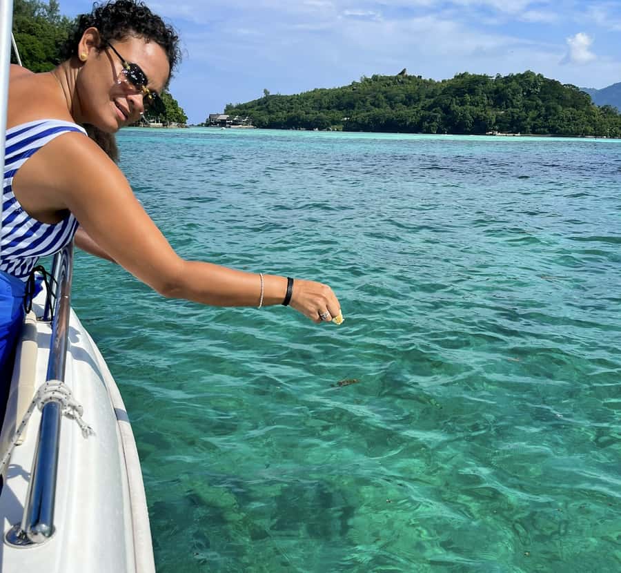 Mahe: Private half-day boat trip at the St.Anne Marine Park - Guide energy: attentive English and French storytelling